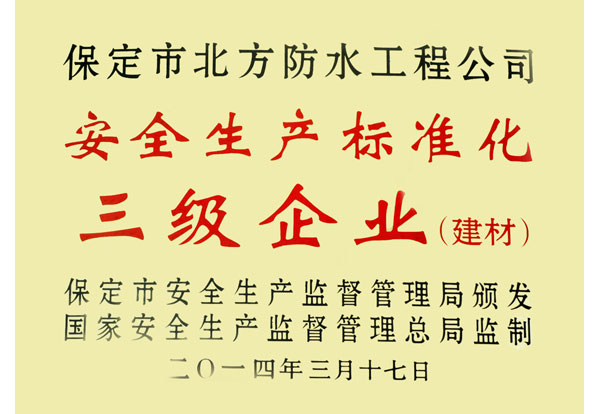 安全生產(chǎn)標準化三級企業(yè)